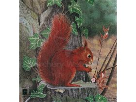 JVD Animal 10 Faces Squirrel