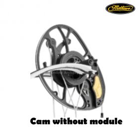 Mathews Switch Weight Cam - SWT Cam 2024